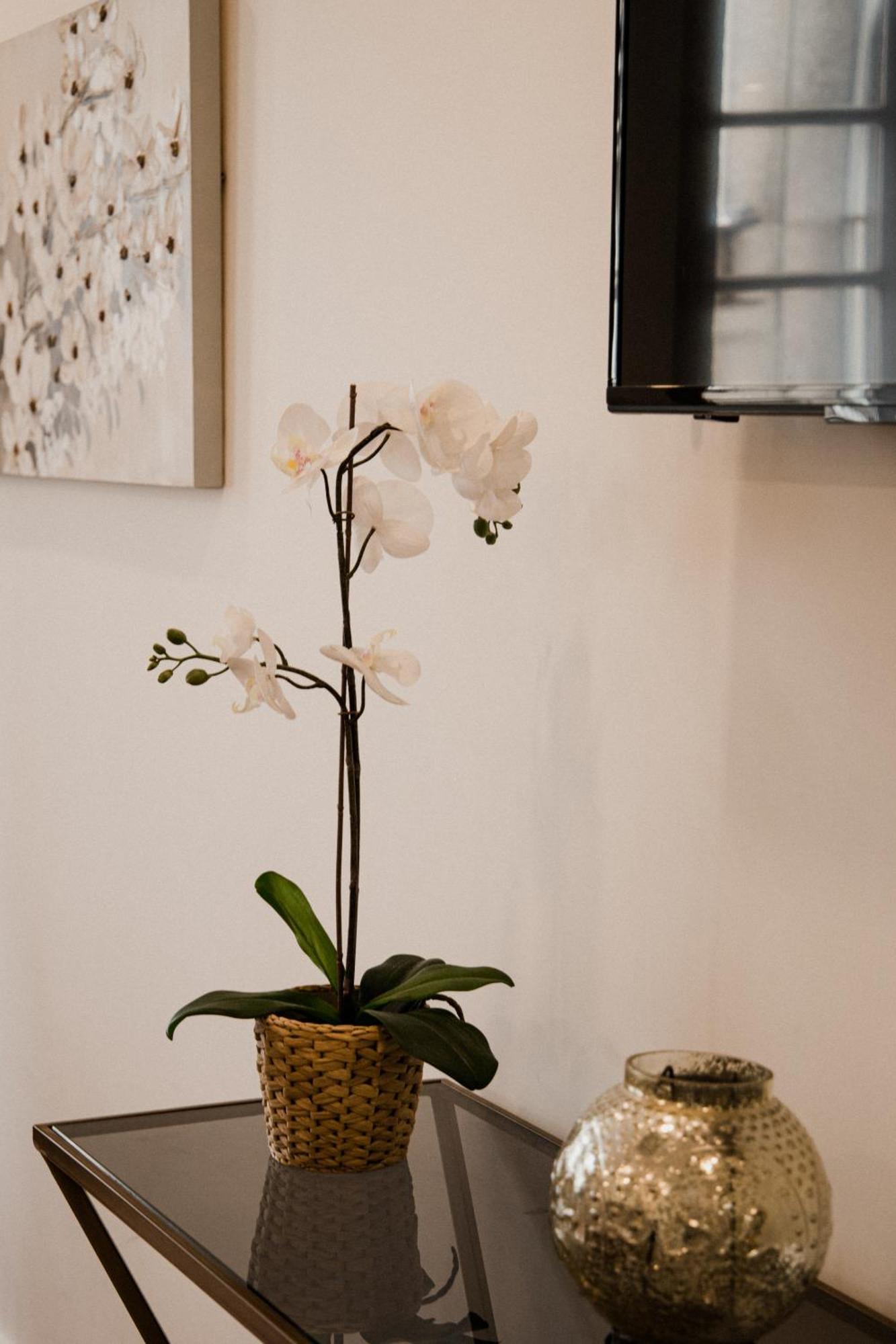 Bruval Premium Apartments - Se 波尔图 外观 照片